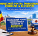 Consultanță pentru înregistrarea firmelor în București – primul pas către afacerea ta